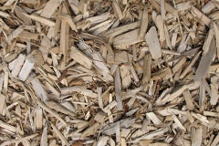 biomass boilers Cefneithin